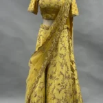 Partywear Lehanga 1